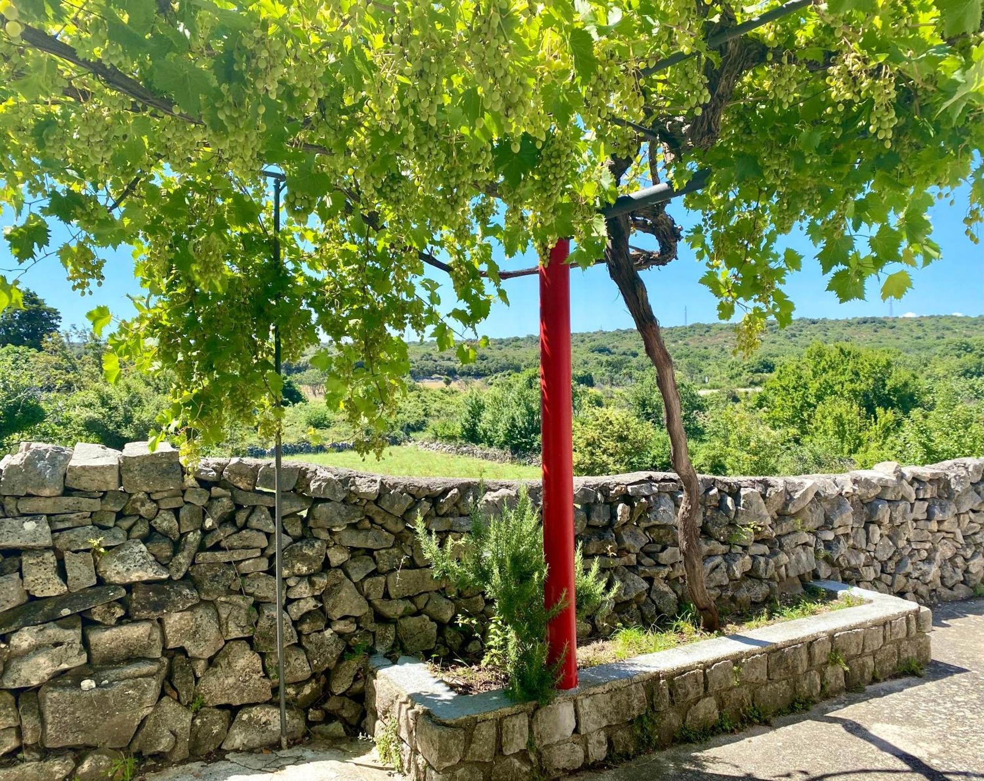 La Casa Di Nonno Villa Belej Exterior photo